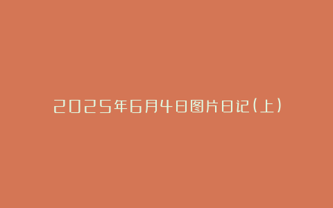 2025年6月4日图片日记(上)