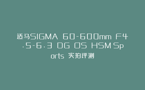 适马SIGMA 60-600mm F4.5-6.3 DG OS HSM｜Sports 实拍评测