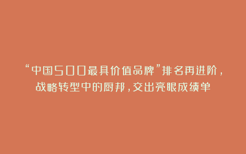 “中国500最具价值品牌”排名再进阶，战略转型中的厨邦，交出亮眼成绩单