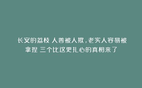 《长安的荔枝》人善被人欺，老实人容易被拿捏？三个比这更扎心的真相来了