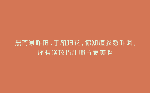 黑背景咋拍，手机拍花，你知道参数咋调，还有啥技巧让照片更美吗