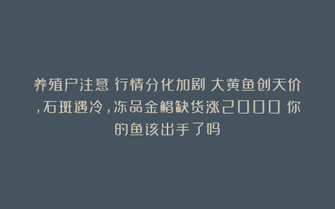 养殖户注意：行情分化加剧！大黄鱼创天价，石斑遇冷，冻品金鲳缺货涨2000！你的鱼该出手了吗？