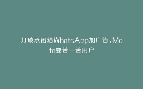 打破承诺给WhatsApp加广告，Meta要苦一苦用户