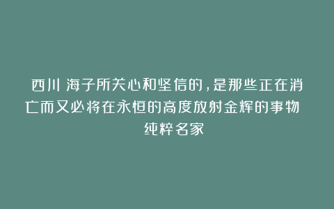 西川：海子所关心和坚信的，是那些正在消亡而又必将在永恒的高度放射金辉的事物 | 纯粹名家