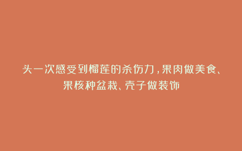 头一次感受到榴莲的杀伤力，果肉做美食、果核种盆栽、壳子做装饰