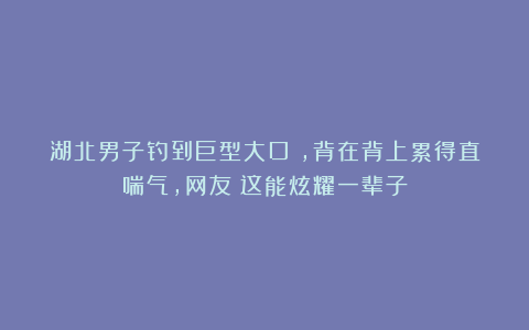 湖北男子钓到巨型大口鲶，背在背上累得直喘气，网友：这能炫耀一辈子