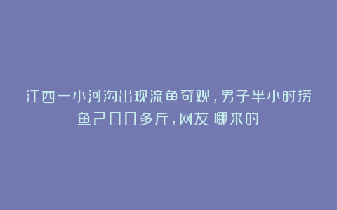 江西一小河沟出现流鱼奇观，男子半小时捞鱼200多斤，网友：哪来的？