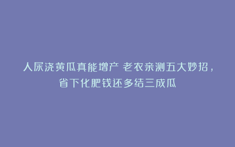 人尿浇黄瓜真能增产？老农亲测五大妙招，省下化肥钱还多结三成瓜