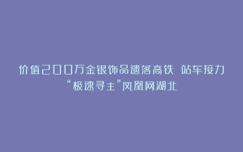 价值200万金银饰品遗落高铁 站车接力“极速寻主”凤凰网湖北