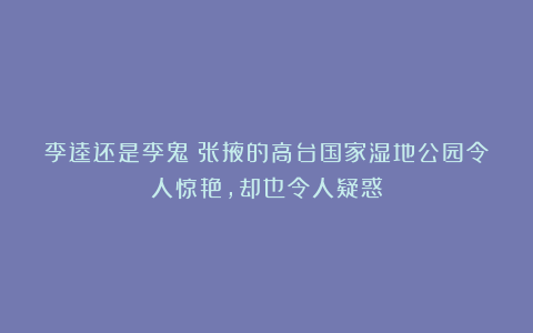 李逵还是李鬼？张掖的高台国家湿地公园令人惊艳，却也令人疑惑