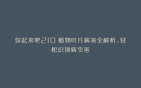 你起来吧210：植物叶片病害全解析，轻松识别病虫害！
