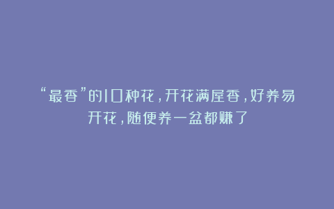 “最香”的10种花,开花满屋香,好养易开花,随便养一盆都赚了
