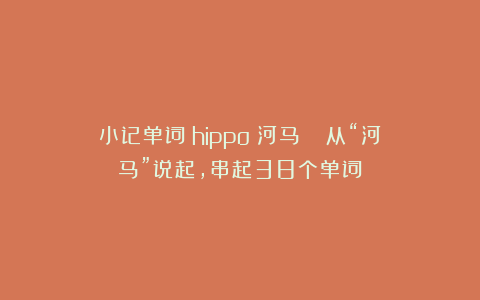 小记单词：hippo（河马）| 从“河马”说起，串起38个单词