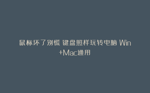 鼠标坏了别慌！键盘照样玩转电脑（Win+Mac通用）