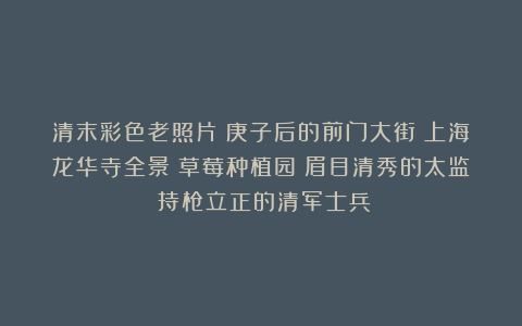 清末彩色老照片：庚子后的前门大街；上海龙华寺全景；草莓种植园；眉目清秀的太监；持枪立正的清军士兵