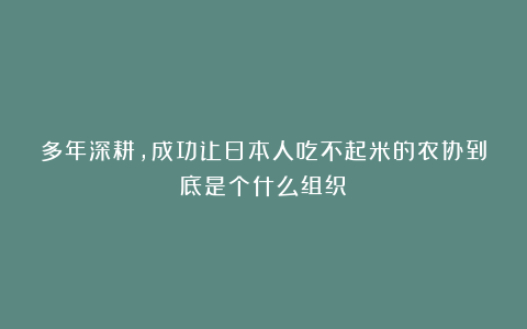 多年深耕,成功让日本人吃不起米的农协到底是个什么组织?