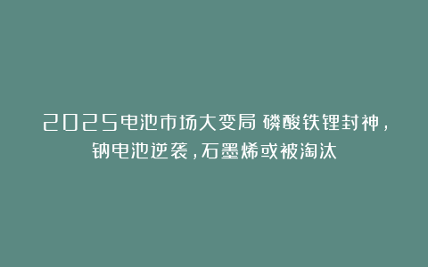2025电池市场大变局：磷酸铁锂封神，钠电池逆袭，石墨烯或被淘汰