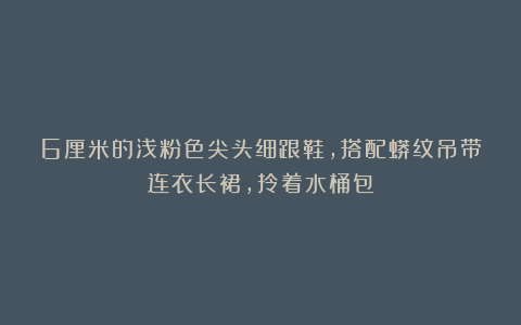 6厘米的浅粉色尖头细跟鞋，搭配蟒纹吊带连衣长裙，拎着水桶包