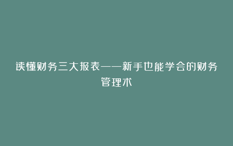 读懂财务三大报表——新手也能学会的财务管理术
