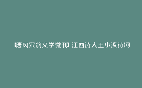 【唐风宋韵文学微刊】江西诗人王小波诗词