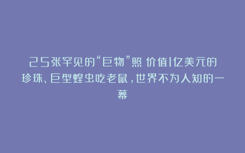 25张罕见的“巨物”照：价值1亿美元的珍珠、巨型蝗虫吃老鼠，世界不为人知的一幕