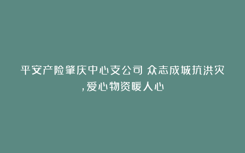 平安产险肇庆中心支公司：众志成城抗洪灾，爱心物资暖人心！