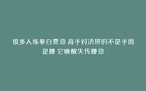 很多人练拳白费劲？高手对决拼的不是手而是腰！它唤醒失传腰劲！