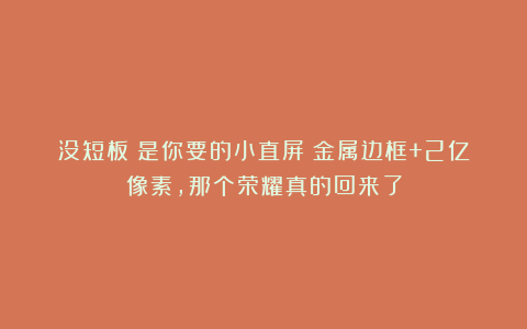 没短板！是你要的小直屏！金属边框+2亿像素，那个荣耀真的回来了