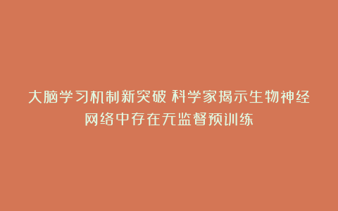 大脑学习机制新突破：科学家揭示生物神经网络中存在无监督预训练