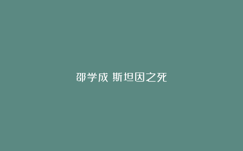 邵学成：斯坦因之死