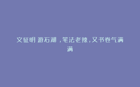 文征明《游石湖》，笔法老辣，又书卷气满满
