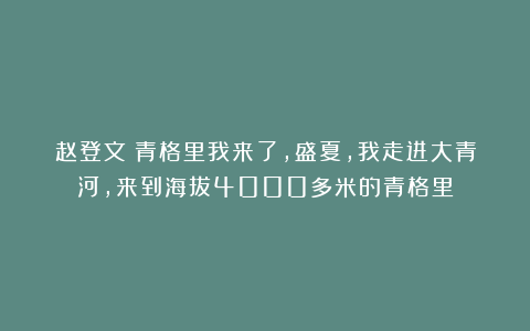 赵登文：青格里我来了，盛夏，我走进大青河，来到海拔4000多米的青格里