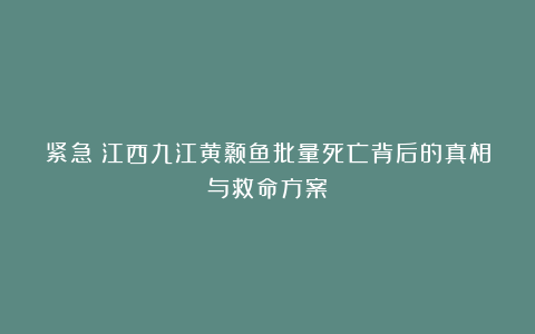 紧急！江西九江黄颡鱼批量死亡背后的真相与救命方案