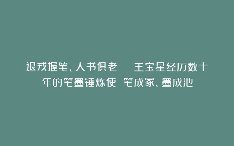 退戎握笔、人书俱老 | 王宝星经历数十年的笔墨锤炼使 笔成冢、墨成池
