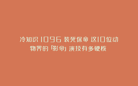冷知识（1096）装死保命？这10位动物界的「影帝」演技有多硬核？！