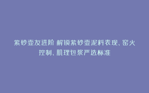 紫砂壶友进阶：解锁紫砂壶泥料表现、窑火控制、肌理包浆严选标准