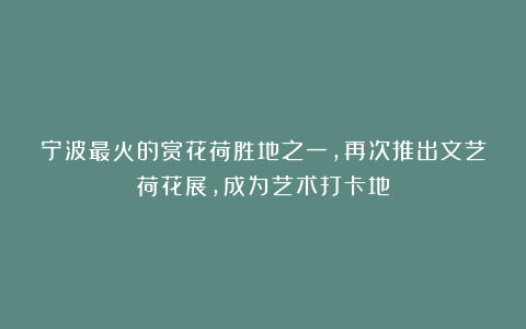 宁波最火的赏花荷胜地之一，再次推出文艺荷花展，成为艺术打卡地