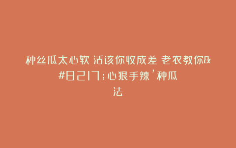 种丝瓜太心软？活该你收成差！老农教你’心狠手辣’种瓜法