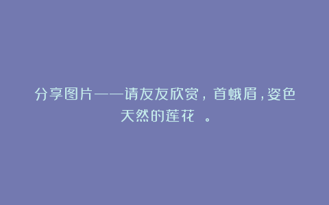分享图片——请友友欣赏，螓首蛾眉，姿色天然的莲花 。