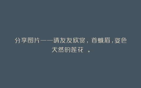 分享图片——请友友欣赏，螓首蛾眉，姿色天然的莲花 。