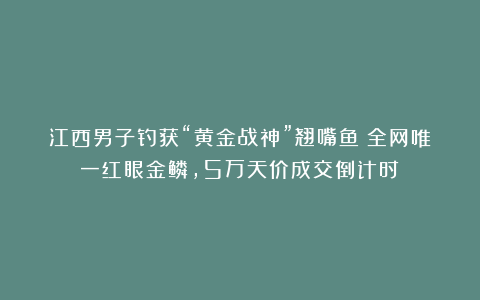 江西男子钓获“黄金战神”翘嘴鱼！全网唯一红眼金鳞，5万天价成交倒计时？