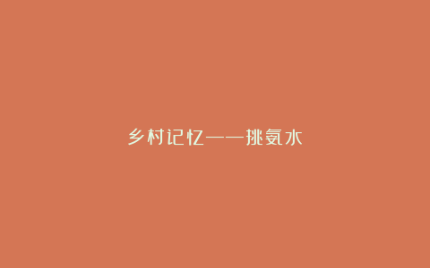 乡村记忆——挑氨水