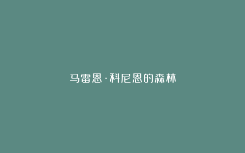 马雷恩·科尼恩的森林