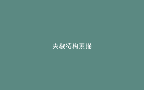 尖椒结构素描