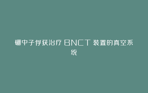 硼中子俘获治疗（BNCT）装置的真空系统