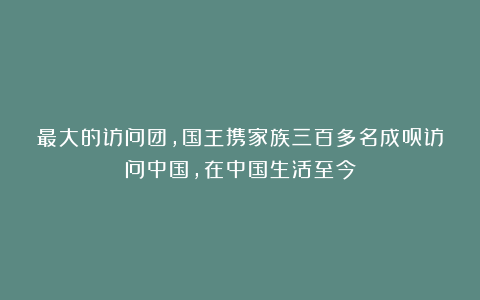 最大的访问团，国王携家族三百多名成员访问中国，在中国生活至今
