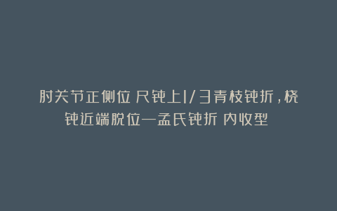 肘关节正侧位（尺骨上1/3青枝骨折，桡骨近端脱位—孟氏骨折（内收型））