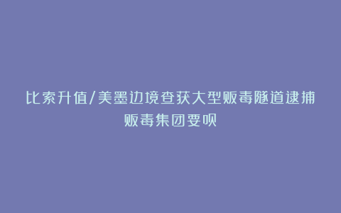 比索升值/美墨边境查获大型贩毒隧道逮捕贩毒集团要员