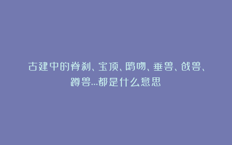 古建中的脊刹、宝顶、鸱吻、垂兽、戗兽、蹲兽…都是什么意思?