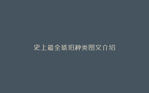 史上最全琥珀种类图文介绍